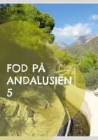 Fod på Andalusien 5 af Else Byskov