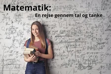 Matematik: af Palle Landair
