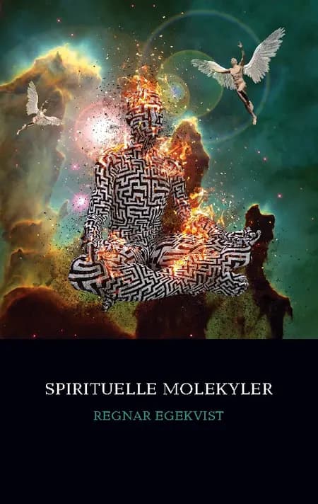 Spirituelle Molekyler af Regnar Egekvist