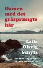 Damen med det gråsprængte hår af Laila Olsvig Schytz