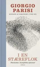 I en stæreflok af Giorgio Parisi