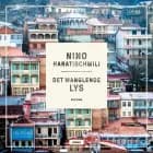 Det manglende lys af Nino Haratischwili