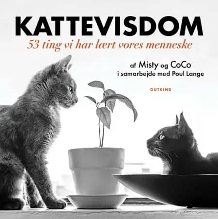 Kattevisdom af Misty Lange