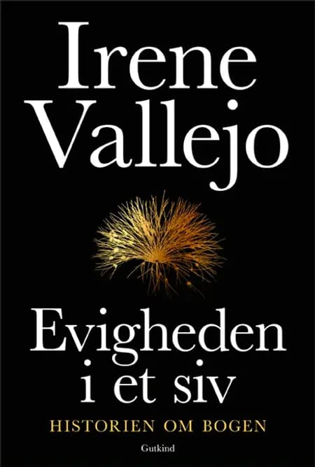 Evigheden i et siv af Irene Vallejo