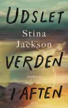 Udslet verden i aften af Stina Jackson