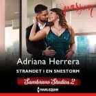 Strandet i en snestorm af Adriana Herrera