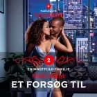 Et forsøg til af Nicki Night