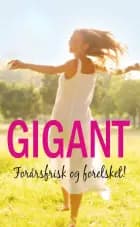 Vaerd at elske / Det hemmelige liv / Forfulgt af fortiden / Når dagen vågner af Jackie Braun, Liz Fielding og Roxanne St. Claire