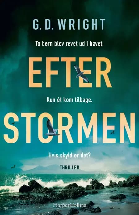 Efter stormen af G. D. Wright