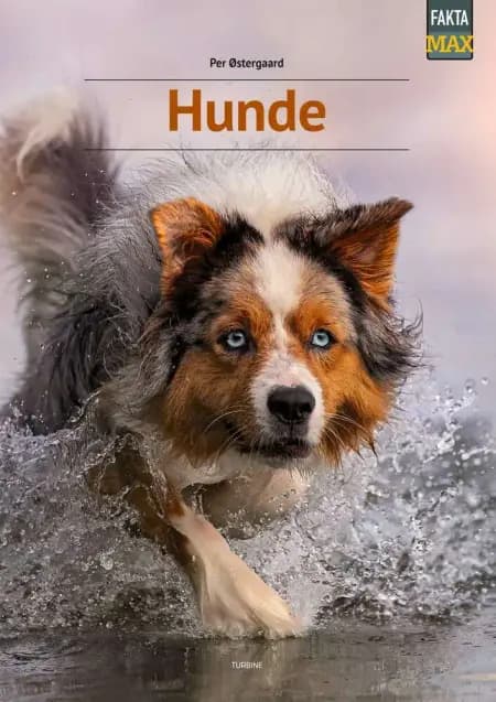 Hunde af Per Østergaard