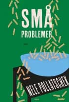 Små problemer af Nele Pollatschek