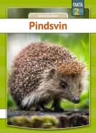 Pindsvin af Henrik Enemark