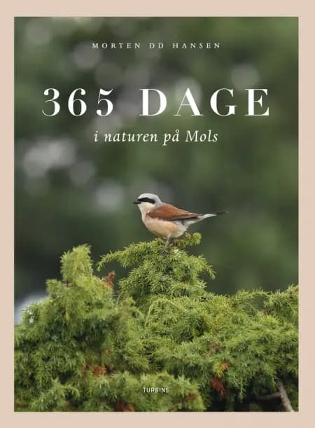 365 dage i naturen på Mols af Morten DD Hansen