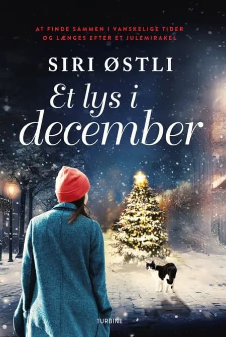 Et lys i december af Siri Østli