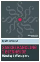 Sagsbehandling i øjenhøjde af Bente Hagelund
