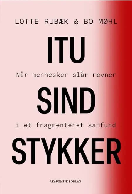 I tusind stykker af Bo Møhl