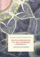 Specialpædagogik i et inkluderende perspektiv af Else Skibsted og Merete Munkholm