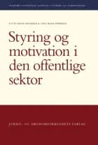 Styring og motivation i den offentlige sektor af Lotte Bøgh Andersen og Lene Holm Pedersen