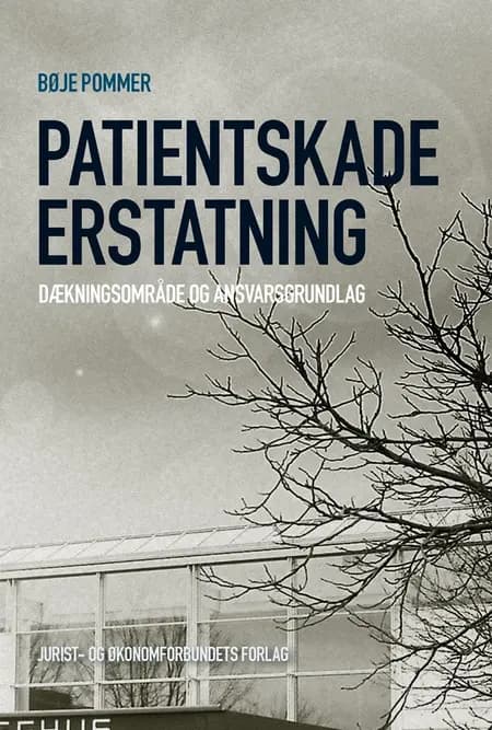 Patientskadeerstatning af Bøje Pommer