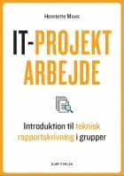 IT-projektarbejde af Henriette Moos