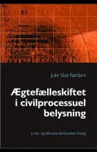 Ægtefælleskiftet i civilprocessuel belysning af Julie Skat Rørdam