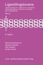 Ligestillingslovene bd. 2 af Agnete Andersen, Ruth Nielsen og Kirsten Precht