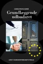 Grundlæggende udbudsret af Carina Risvig Hamer