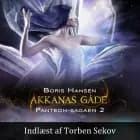 Panteon-sagaen #2: Akkanas gåde af Boris Hansen