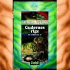 De udødelige #4: Gudernes rige af Tamora Pierce