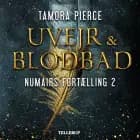Numairs fortælling #2: Uvejr og blodbad af Tamora Pierce