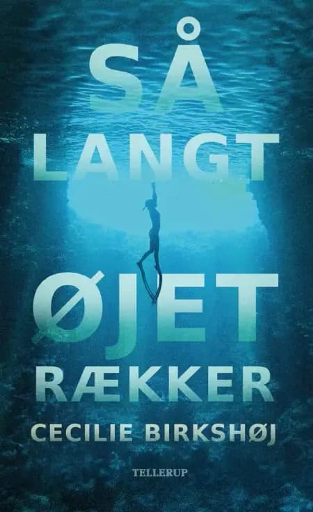 Så langt øjet rækker af Cecilie Birkshøj