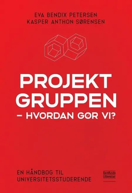 Projektgruppen - hvordan gør vi? af Eva Bendix Petersen