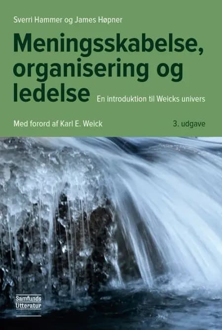 Meningsskabelse, organisering og ledelse af Sverri Hammer