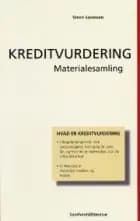 Kreditvurdering af Steen Sørensen