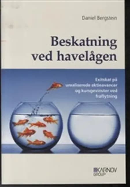Beskatning ved havelågen af Daniel Bergstein