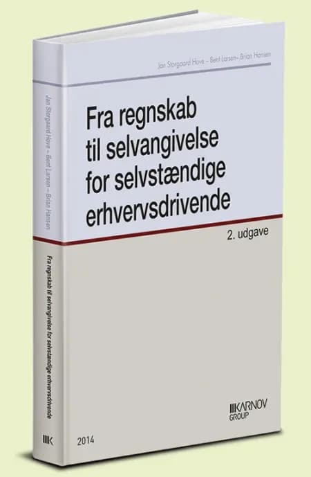 Fra regnskab til selvangivelse for selvstændige erhvervsdrivende af Bent Larsen