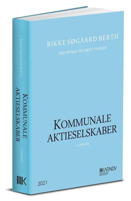 Kommunale aktieselskaber af Rikke Søgaard