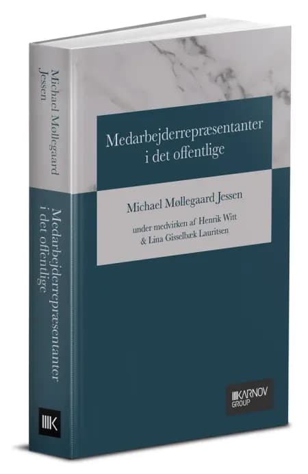 Medarbejderrepræsentanter i det offentlige af Michael Møllegaard Jessen under medvirken af Henrik Witt Lina Gisselbæk Lauritsen