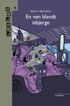 En ven blandt isbjerge af Birgitte Bregnedal