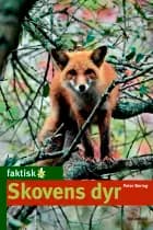 Skovens dyr - Lyt&læs af Peter Bering