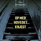 Mellem_rum. Op med hovedet knægt af Trine Bundsgaard