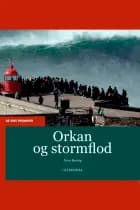 Orkan og stormflod af Peter Bering
