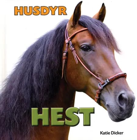 Hest af Katie Dicker