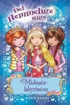 Midnatslabyrinten af Rosie Banks