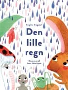 Den lille regn af Birgitte Krogsbøll