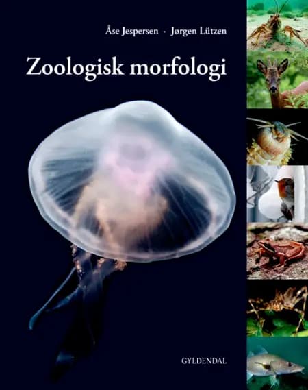 Zoologisk morfologi af Åse Jespersen