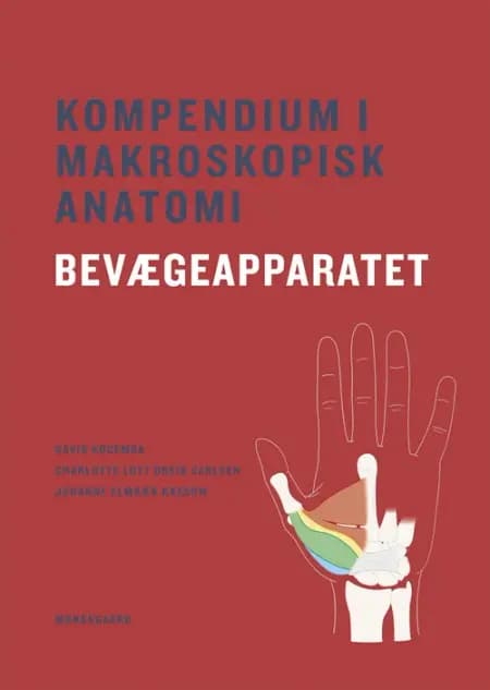 Kompendium i makroskopisk anatomi - bevægeapparatet af David Kocemba