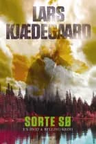 Sorte sø af Lars Kjædegaard