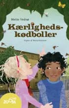 Kærligheds-kødboller af Mette Vedsø