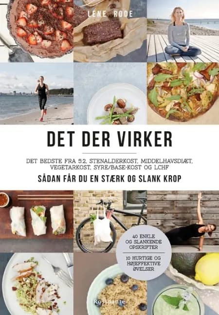 Det der virker af Lene Rode